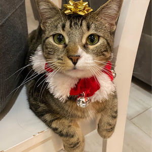 Meet your Posher, Eva